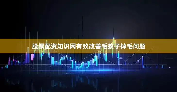 股票配资知识网有效改善毛孩子掉毛问题